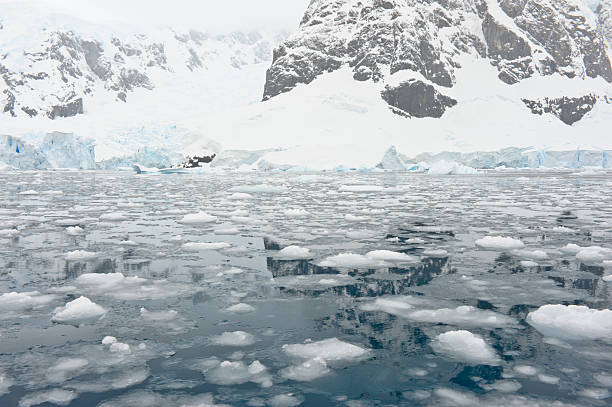 Ice on water in Paradise bay Paradise bay, Antarctica iceberg dramatic sky wintry landscape mountain stock pictures, royalty-free photos & images