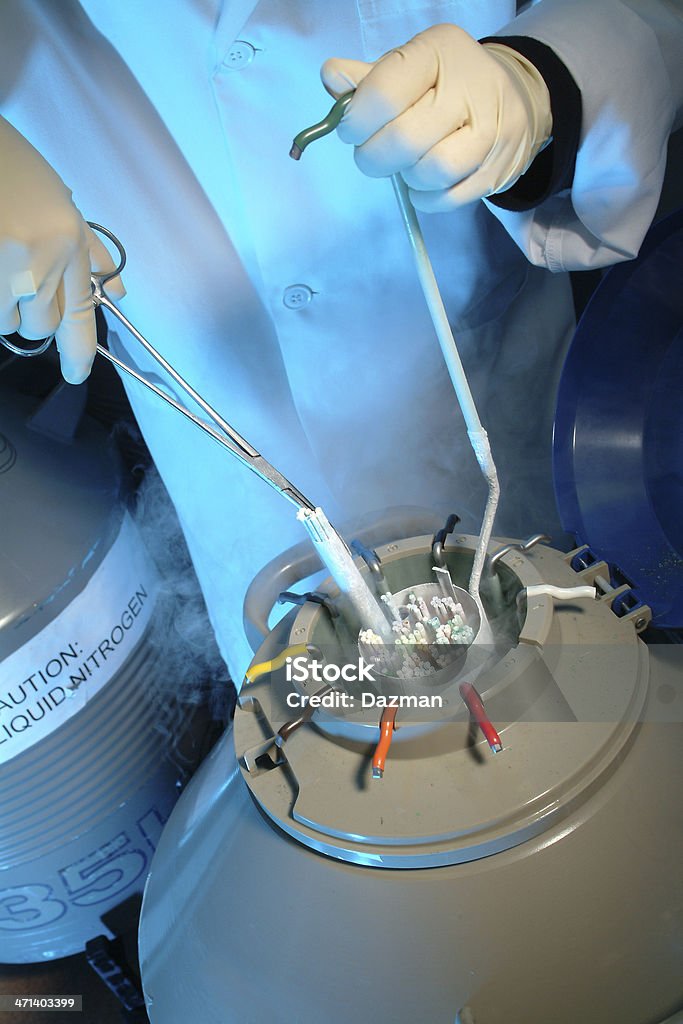 Scientist storing a sample in a canister A laboratory technician handling biological samples which are stored frozen in liquid nitrogen.  The samples are stored in heavy duty insulated flasks. The technician is wearing a white lab coat and rubber gloves. Frozen Stock Photo