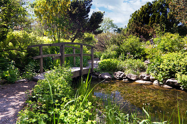 istock garden with bridge and pond 471403683