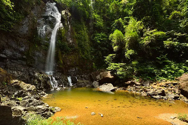 Photo of Beautiful waterfall