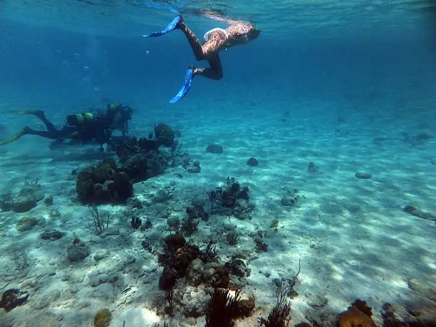 Snorkeling in the Caribbean Sea.