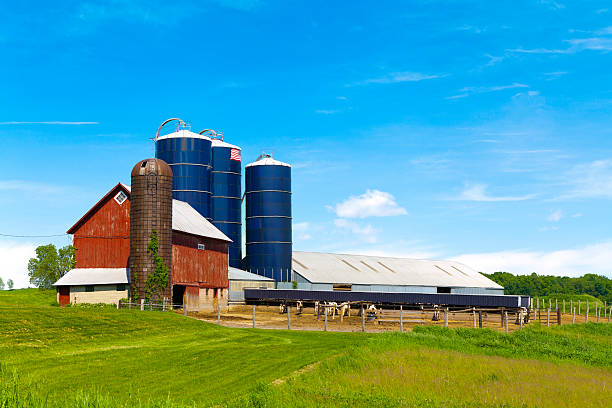 istock American Country 471407757