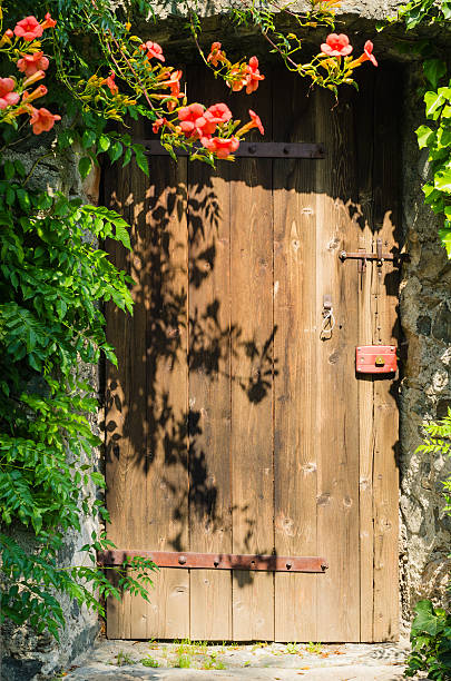 istock wooden door sorrounded by flowers 471407845