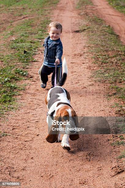 Foto de Andar Com O Cachorro e mais fotos de stock de Basset - Cão de Caça - Basset - Cão de Caça, 12-17 meses, Andar