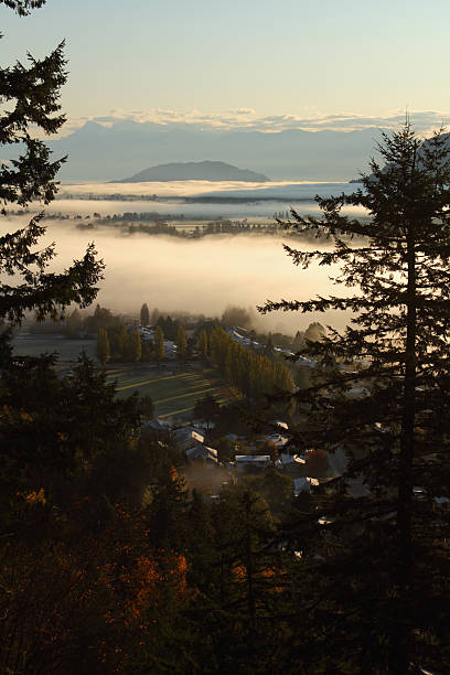 istock Fraser Valley Morning Fog, British Columbia 471410603