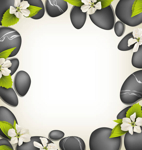 ilustrações de stock, clip art, desenhos animados e ícones de pedras de spa com flores de cereja com moldura branca a bege - arrangement asia backgrounds balance