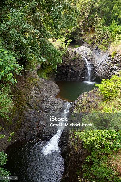 Foresta Pluviale Cascata Delle Hawaii Maui - Fotografie stock e altre immagini di Ambientazione esterna - Ambientazione esterna, America del Nord, Cascata