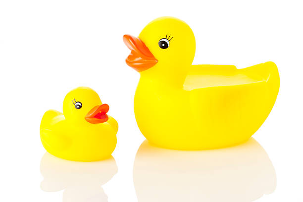 istock Rubber Duck Family 471415203