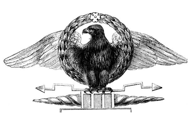 Roman Eagle Roman Eagle. aquila heliaca stock illustrations