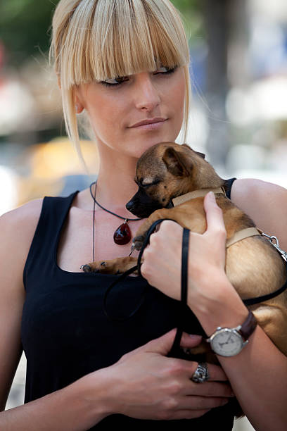 istock Smiling woman holding cute puppy 471416691