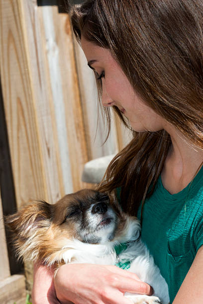 teen abrazarse su perro - long haired chihuahua mixed breed dog purebred dog long hair fotografías e imágenes de stock