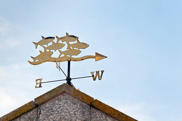istock School of Fish Weathervane 471418277