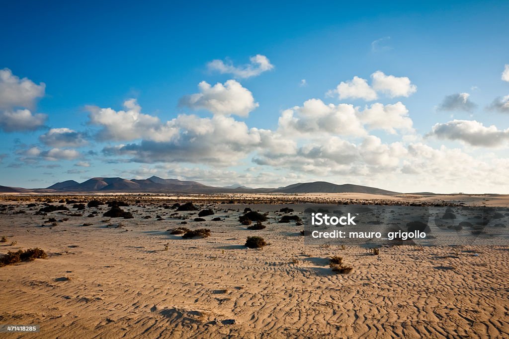 Wüstenlandschaft in einem Park von Corralejo. Insel Fuerteventura - Lizenzfrei Anhöhe Stock-Foto