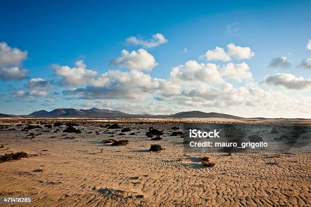 Wüstenlandschaft In Einem Park Von Corralejo Insel Fuerteventura Stockfoto und mehr Bilder von Anhöhe