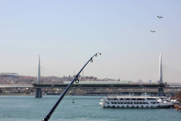 istock Fishing rod and a nice sky 471419156