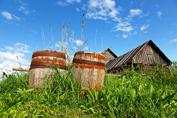 Rural scene with two old wooden barrels for wine