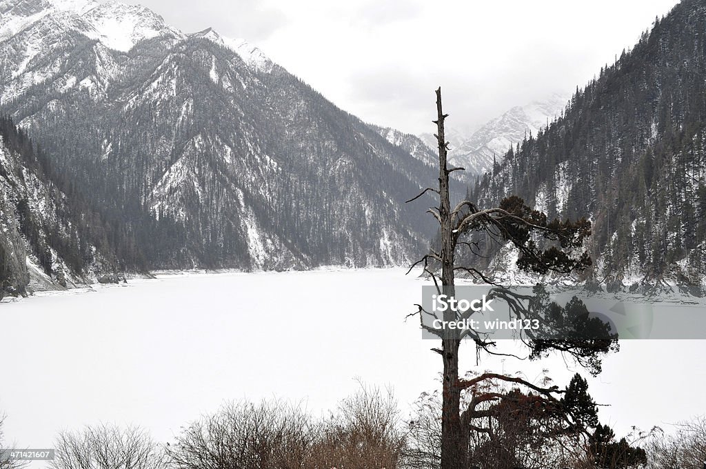 Paisaje Jiuzhaigou - Foto de stock de Aire libre libre de derechos