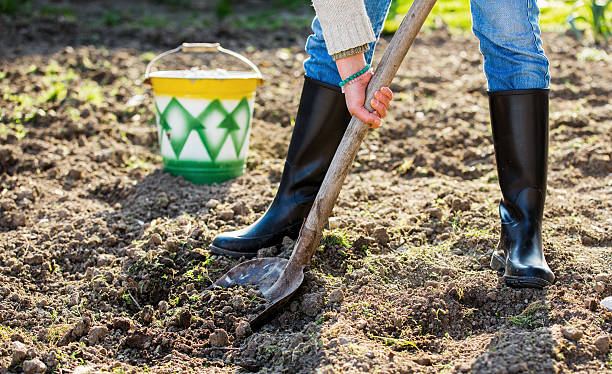 istock Shoveling in the garden 471422252
