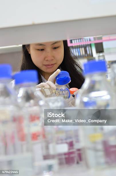 Químicos No Trabalho Em Um Laboratório - Fotografias de stock e mais imagens de Adulto - Adulto, Analisar, Asiático e indiano
