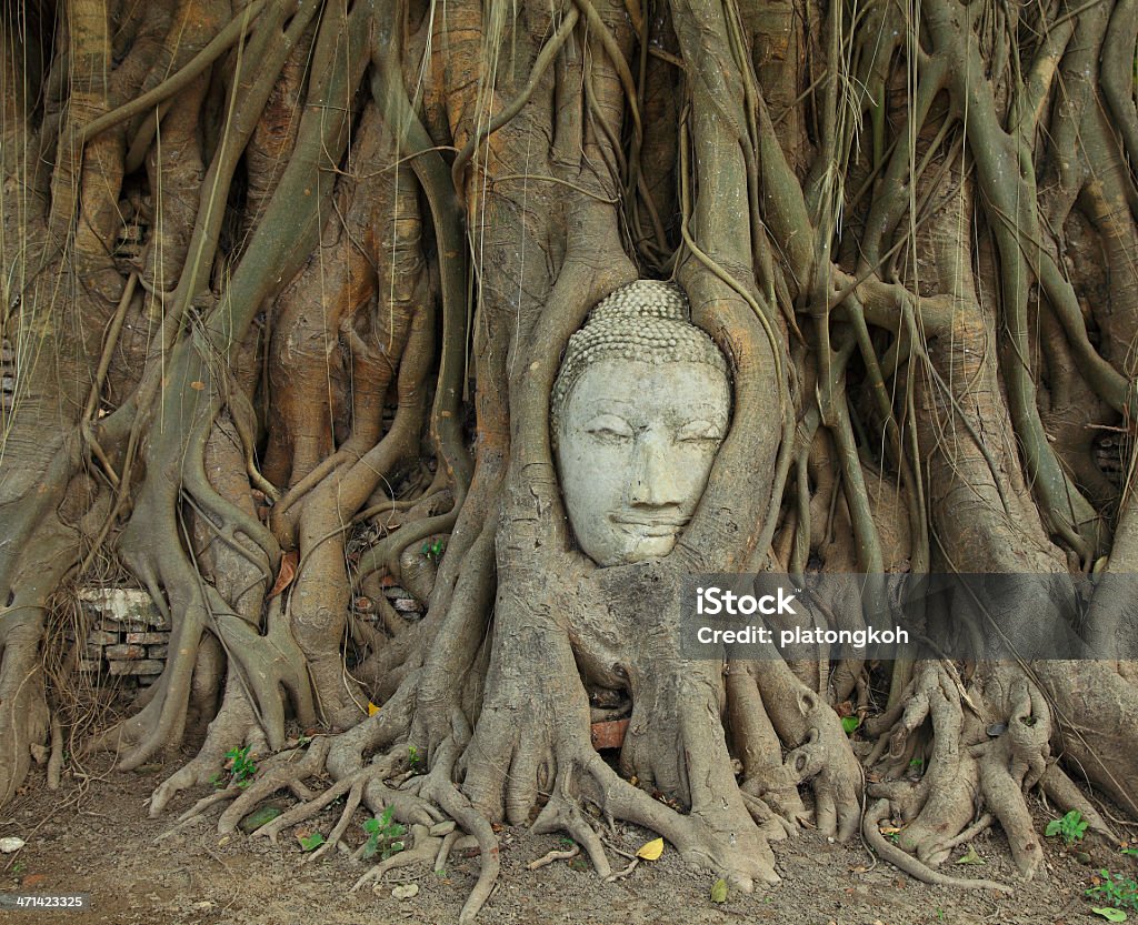 Head of-Buddha in der Baumwurzeln - Lizenzfrei Alt Stock-Foto