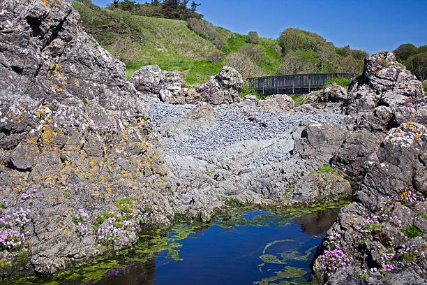 shingle beach und holz-brücke - wigtownshire stock-fotos und bilder