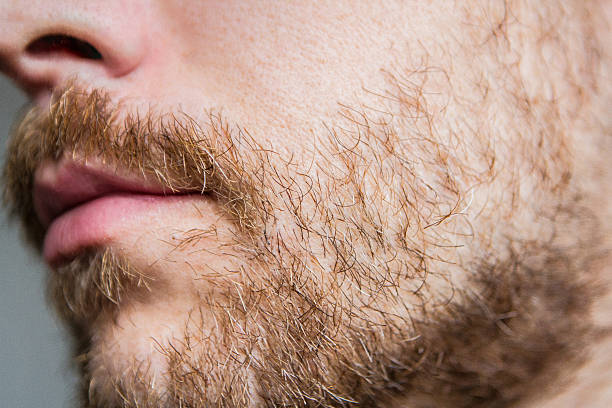 istock Beard and Facial Hair 471426672