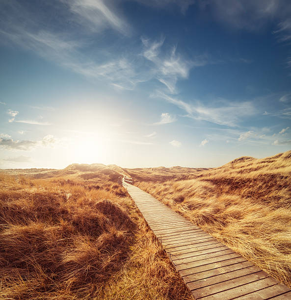 Way through the dunes Way through the dunes with a huge sky and a warm sun (XXXL) north sea waves stock pictures, royalty-free photos & images