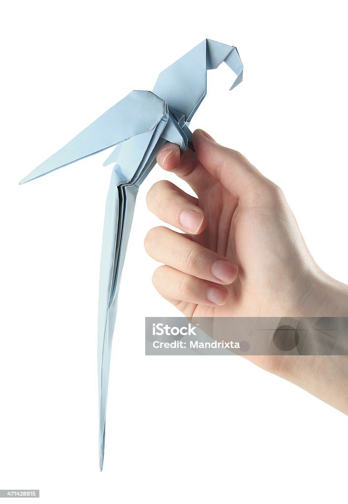 Origami parrot a mano - Foto de stock de Animal libre de derechos