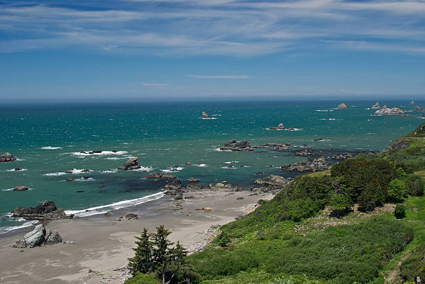 Harris Beach State Park Oregon Ocean Sand Trees Rocks