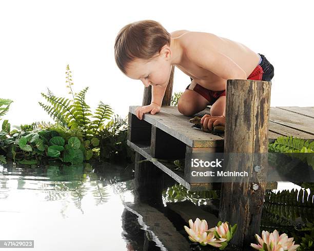 Whats In The Water Stock Photo - Download Image Now - 2-3 Years, Boys, Looking