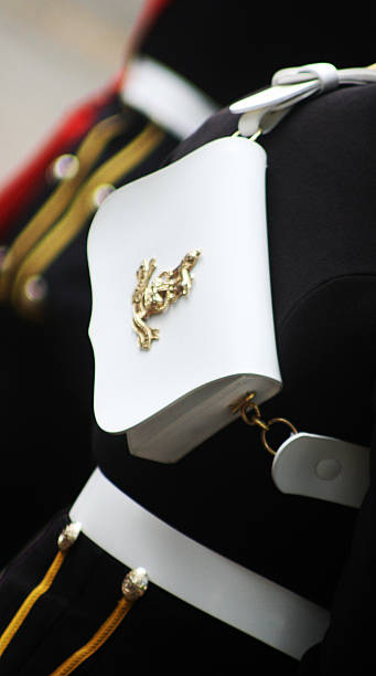 "parade" - royal marines stock-fotos und bilder