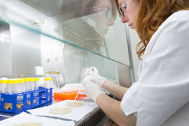 istock Life scientist researching in the laboratory. 471430642