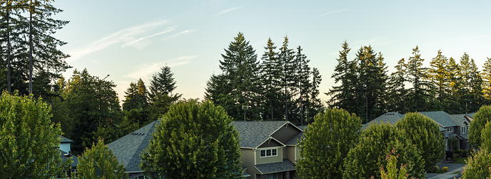 Panoramic shot of houses surrounded by trees during sunset.