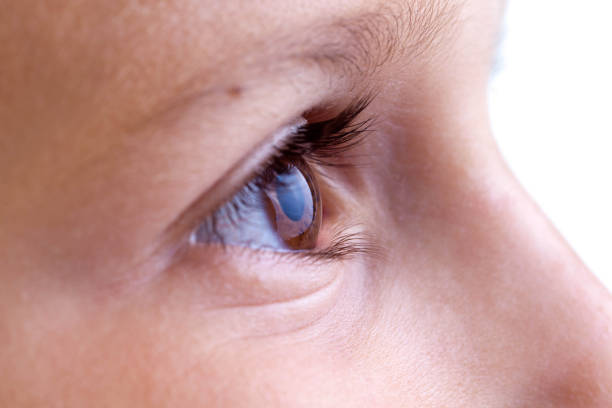 istock Profile Shot of a Boy Looking Straight 471434245