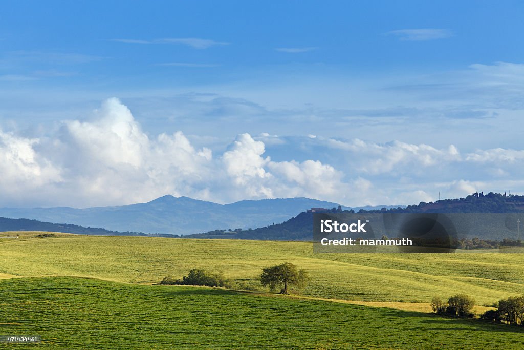 Verde delle colline della Toscana nella primavera - Foto stock royalty-free di Agricoltura