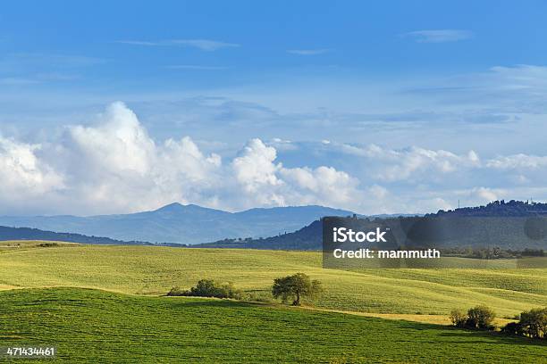 Verde Delle Colline Della Toscana Nella Primavera - Fotografie stock e altre immagini di Agricoltura - Agricoltura, Alberato, Ambientazione esterna