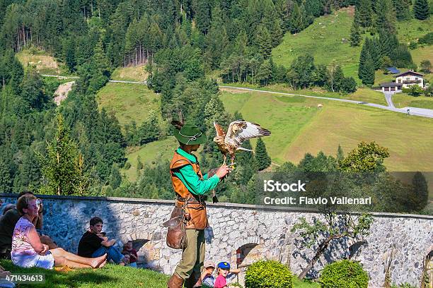 매사냥 데모 공연에 대한 스톡 사진 및 기타 이미지 - 공연, 매사냥, 오스트리아