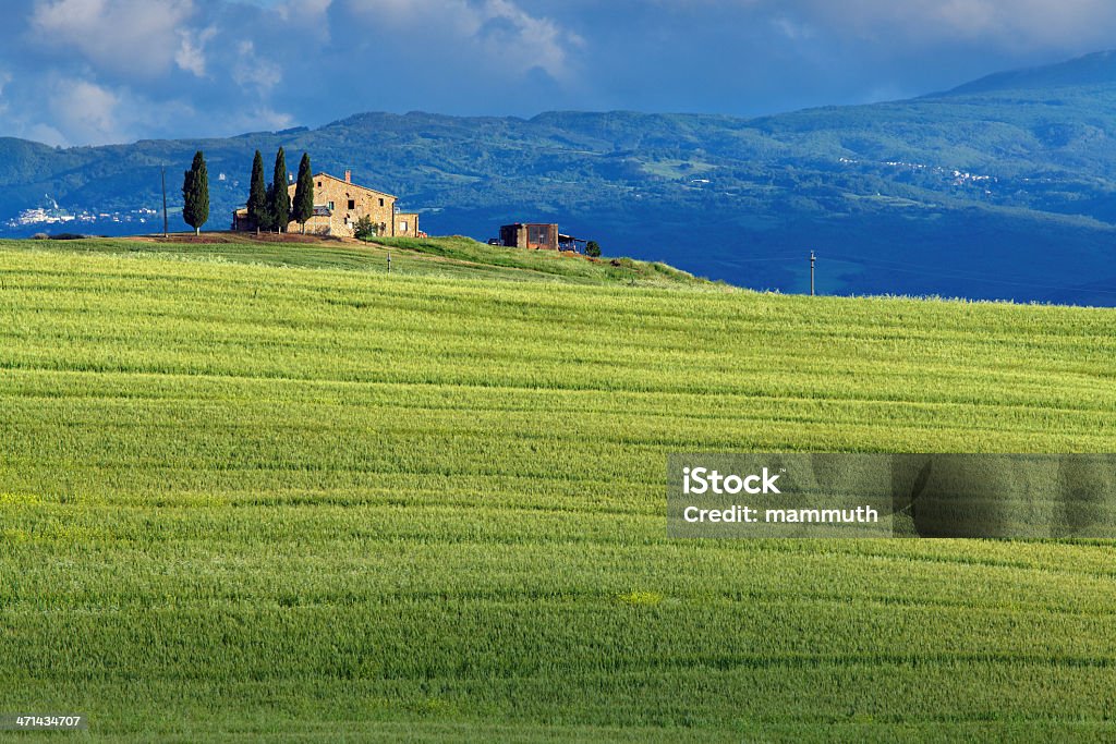 Ferme en Toscane - Photo de Blé libre de droits