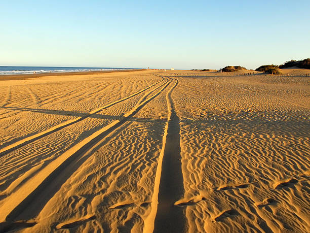 istock beach and Sand Dune of Maspalomas (Gran Canaria) 471434763