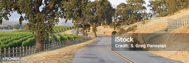 Kurvenreiche Straße Und Weingut Stockfoto und mehr Bilder von Santa Ynez - Santa Ynez, Los Olivos - Kalifornien, Kalifornien