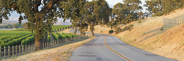 route sinueuse et vignoble - california panoramic crop field photos et images de collection