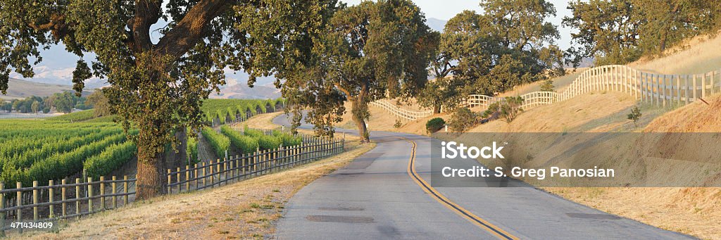 Estrada sinuosa e vinhedos - Foto de stock de Santa Ynez royalty-free