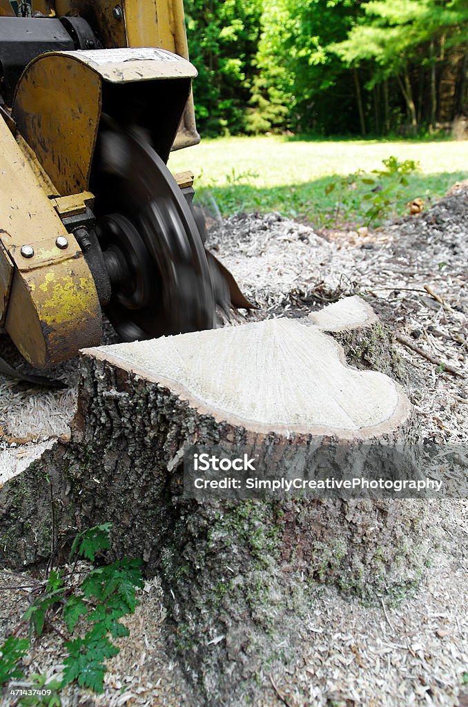 Tocón Esmeriladora de - Foto de stock de Tocón de árbol libre de derechos