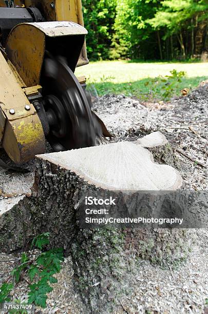 Tocón Esmeriladora De Foto de stock y más banco de imágenes de Tocón de árbol - Tocón de árbol, Quitar, Destoconadora