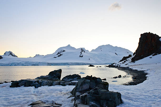 ilha de half moon pôr do sol - nature antarctica half moon island penguin imagens e fotografias de stock