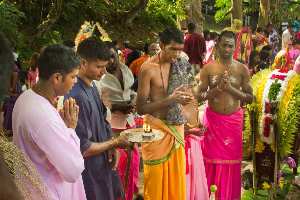 cavadee фестиваль в маврикий - cavadee стоковые фото и изображения