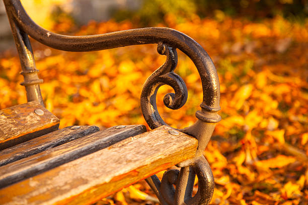 istock Autumn a park bench in Hungary 471439715