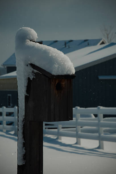 istock Birdhouse in the winter 471440158