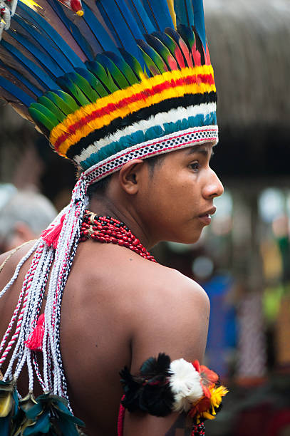 paresí - headdress fotografías e imágenes de stock