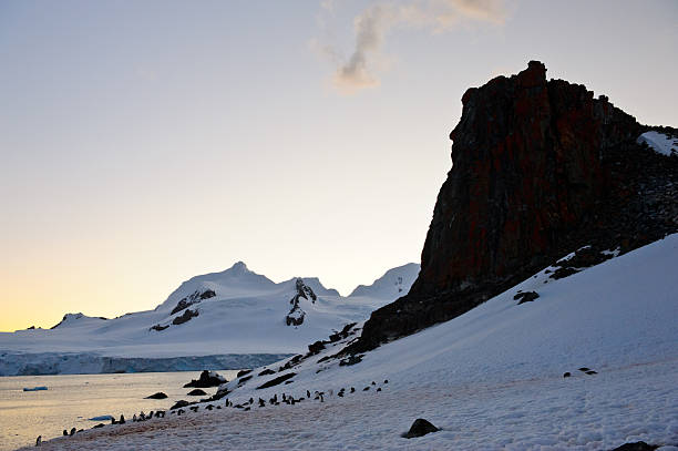 half moon island sonnenuntergang - nature antarctica half moon island penguin stock-fotos und bilder